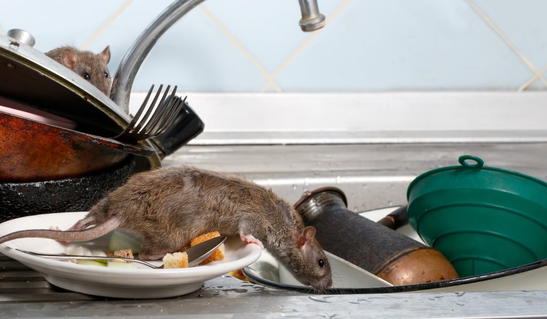 Understanding Food Poisoning Injury Claims in Nevada